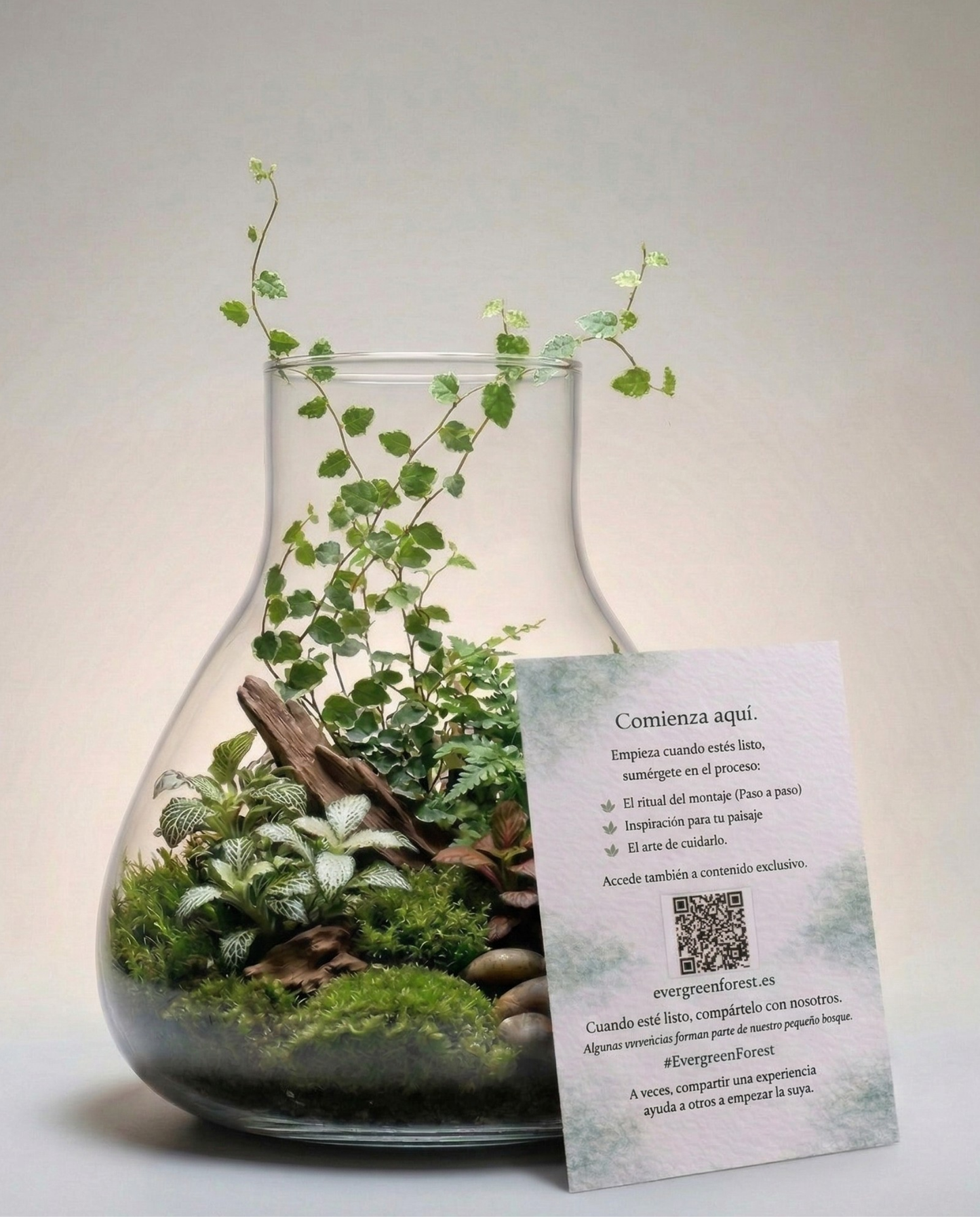 Kit de Terrario Premium · Cristal de Borosilicato y Luz Smart LED
