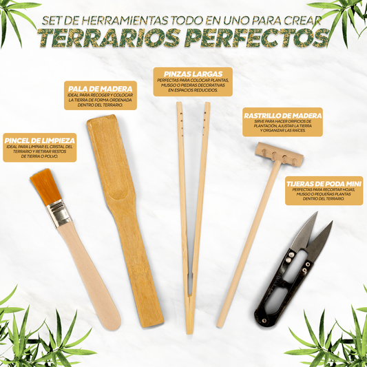 Kit de herramientas para terrarios y jardines eternos