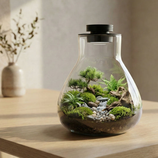 Las Mejores Plantas y Musgos para un Jardín Eterno: Guía de Selección