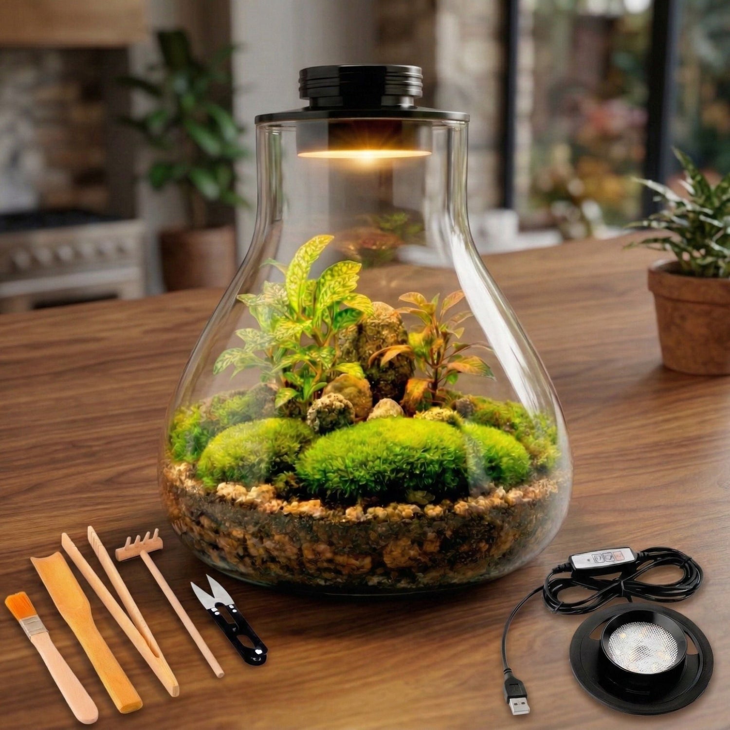 Kits de Terrario DIY y Jardines Eternos