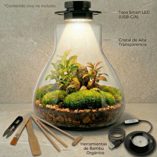 Kit de Terrario Premium · Cristal de Borosilicato y Luz Smart LED