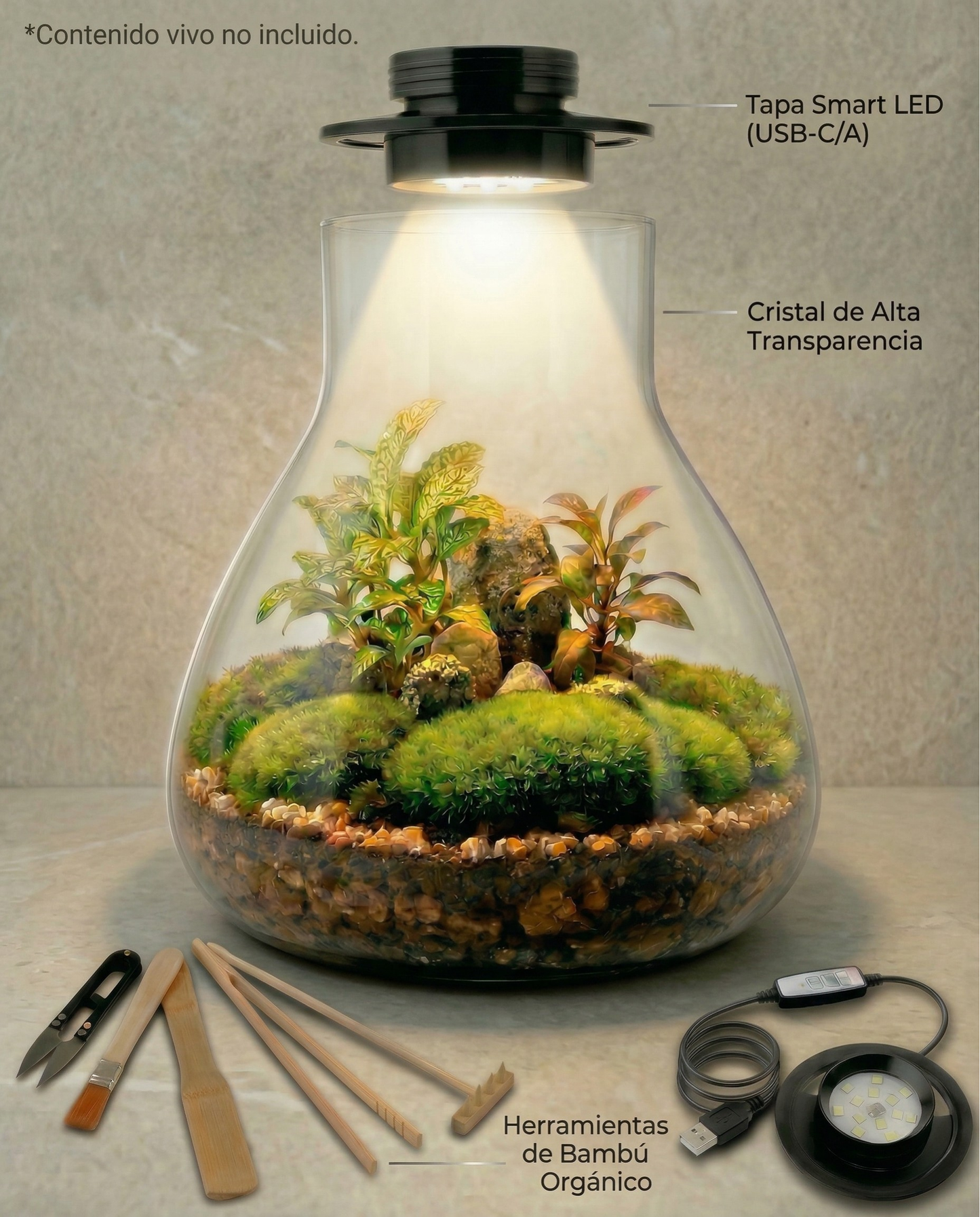 Kit de Terrario Premium · Cristal de Borosilicato y Luz Smart LED