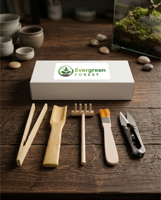 Kit de herramientas para terrarios y jardines eternos
