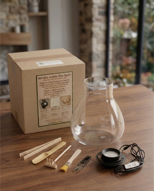 Kit de Terrario Premium · Cristal de Borosilicato y Luz Smart LED