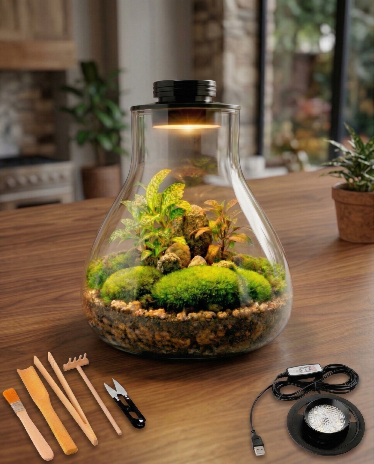 Kit de Terrario Premium · Cristal de Borosilicato y Luz Smart LED
