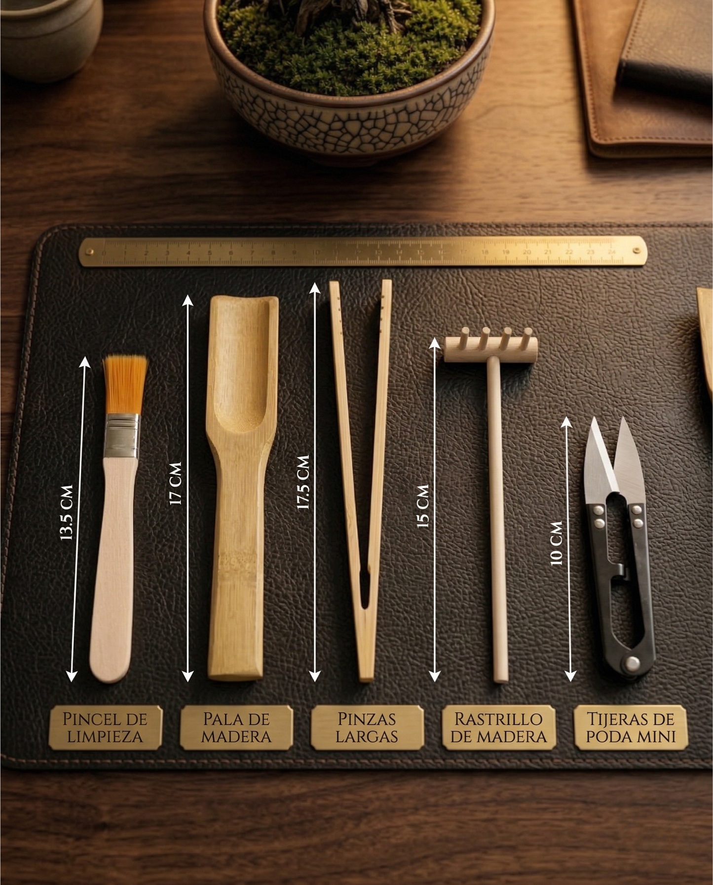 Kit de herramientas para terrarios y jardines eternos