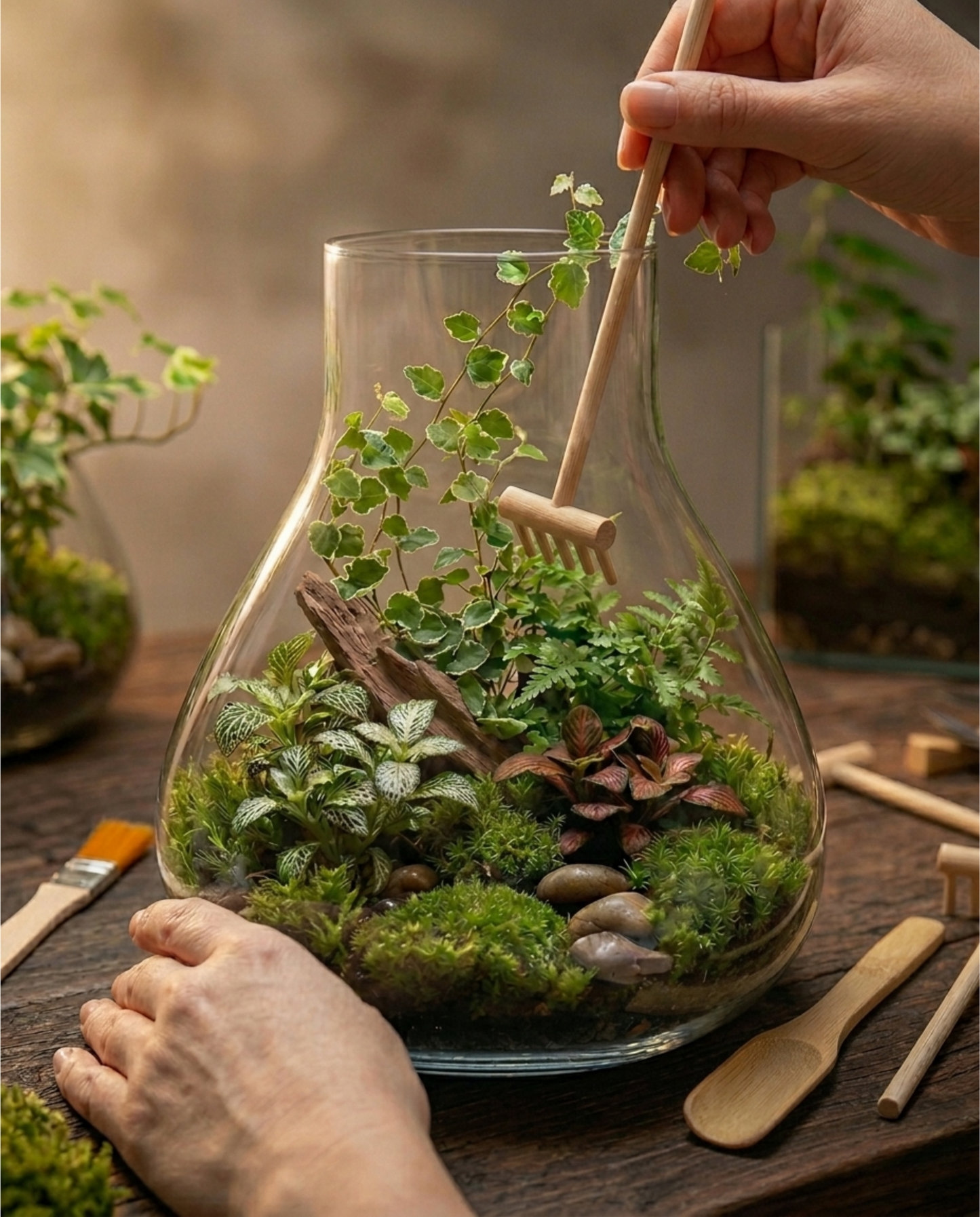 Kit de herramientas para terrarios y jardines eternos