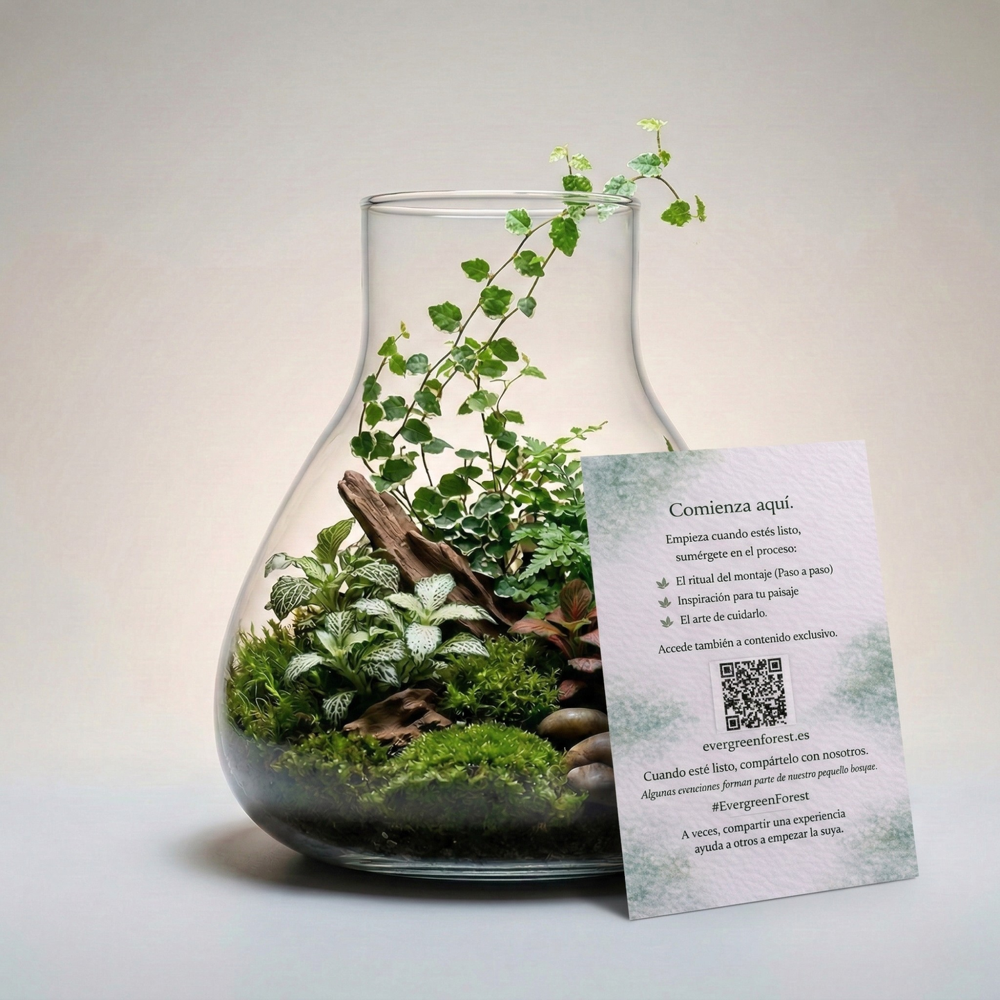 Kit de Terrario Premium · Cristal de Borosilicato y Luz Smart LED