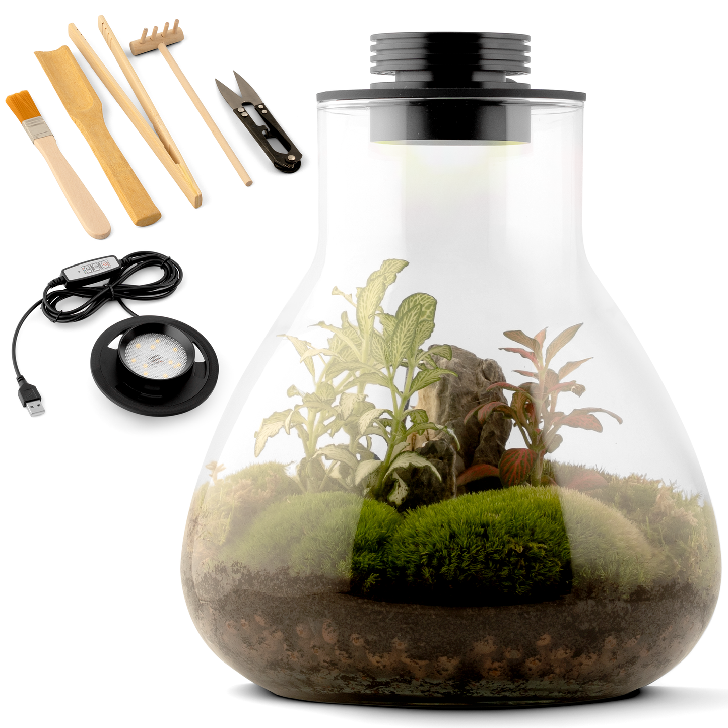 Kit de terrario todo en uno con luz LED para jardinería de interior