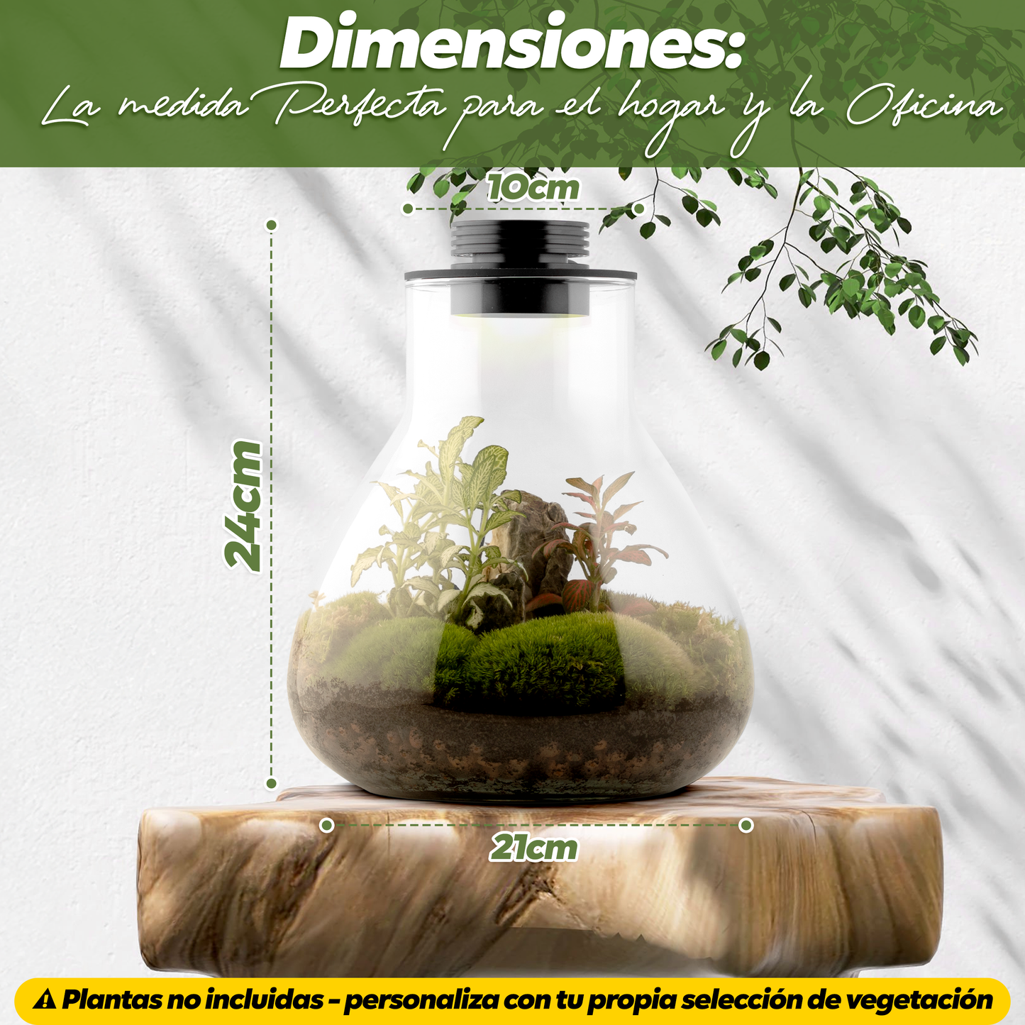 Kit de terrario todo en uno con luz LED para jardinería de interior