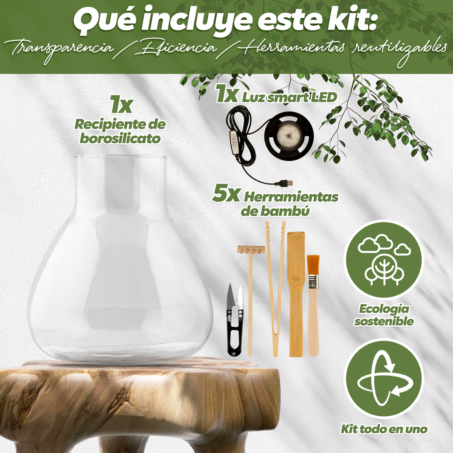 Kit de terrario todo en uno con luz LED para jardinería de interior