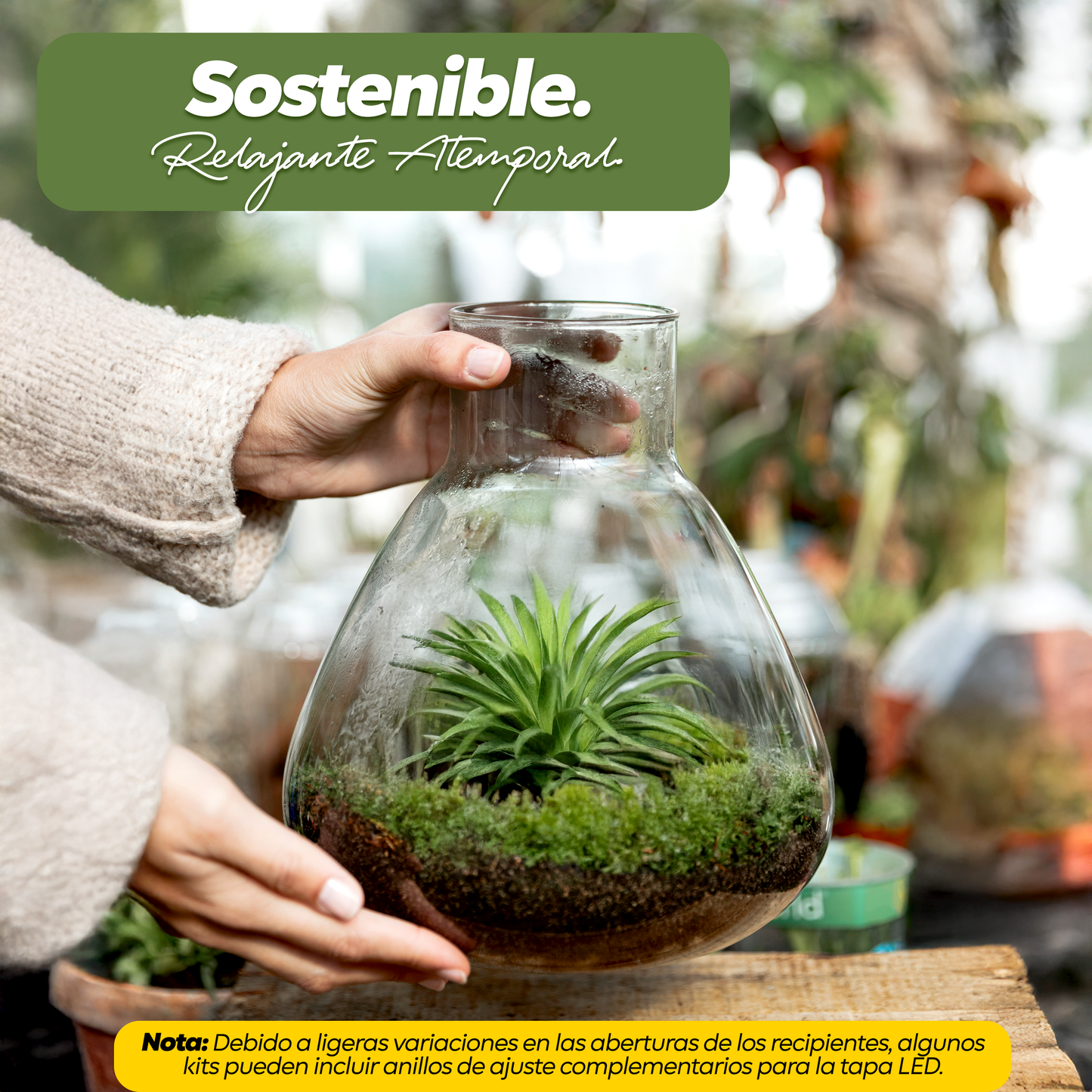 Kit de terrario todo en uno con luz LED para jardinería de interior