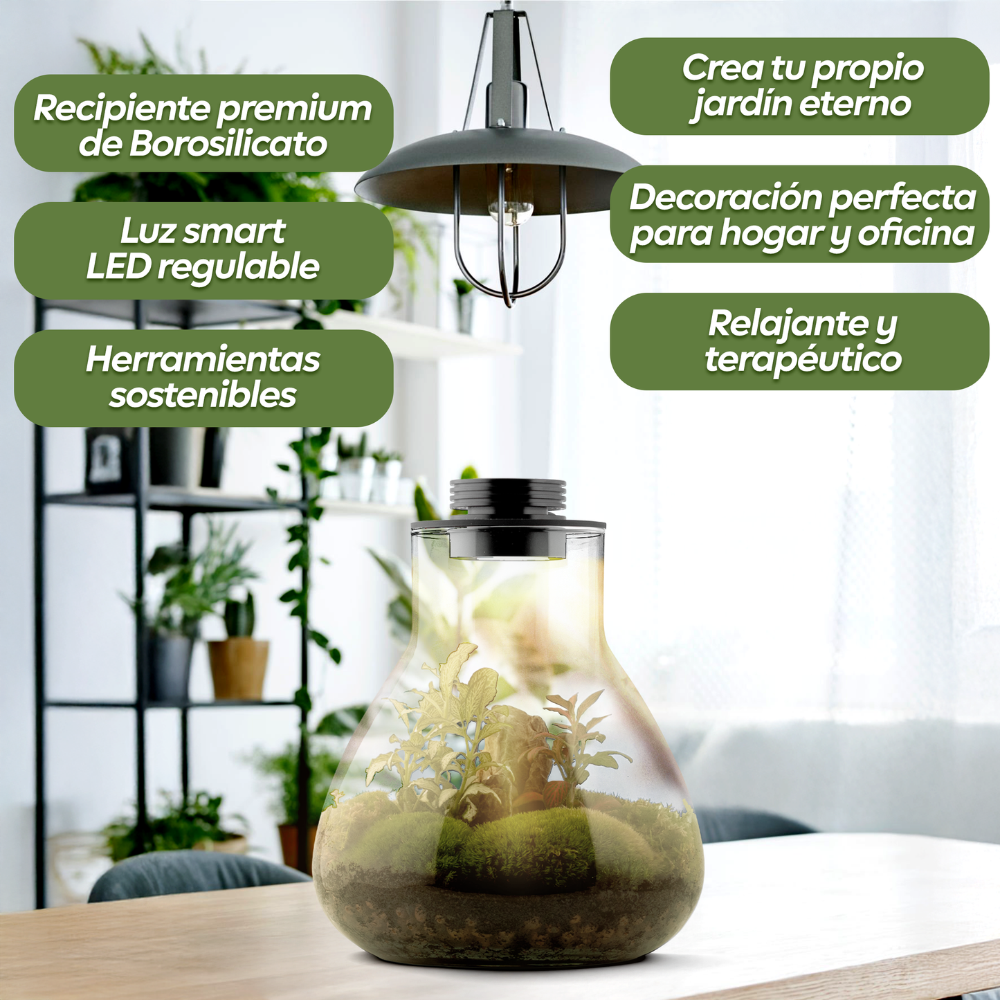 Kit de terrario todo en uno con luz LED para jardinería de interior