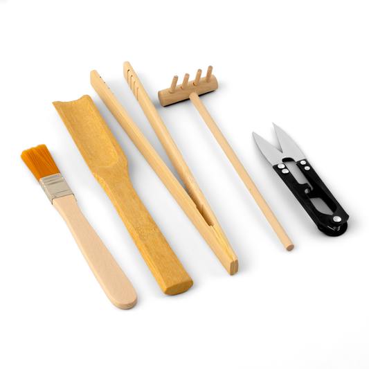 Kit de herramientas para terrarios y jardines eternos