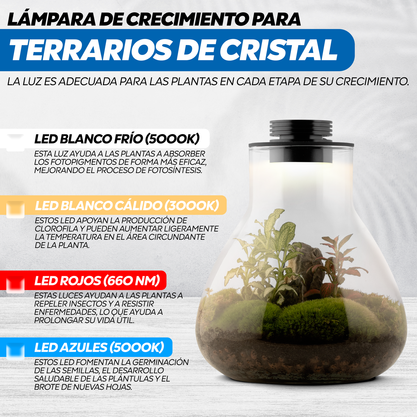Terrario de metal de 10 cm con ventilación ajustable y luz LED inteligente para plantas de interior.