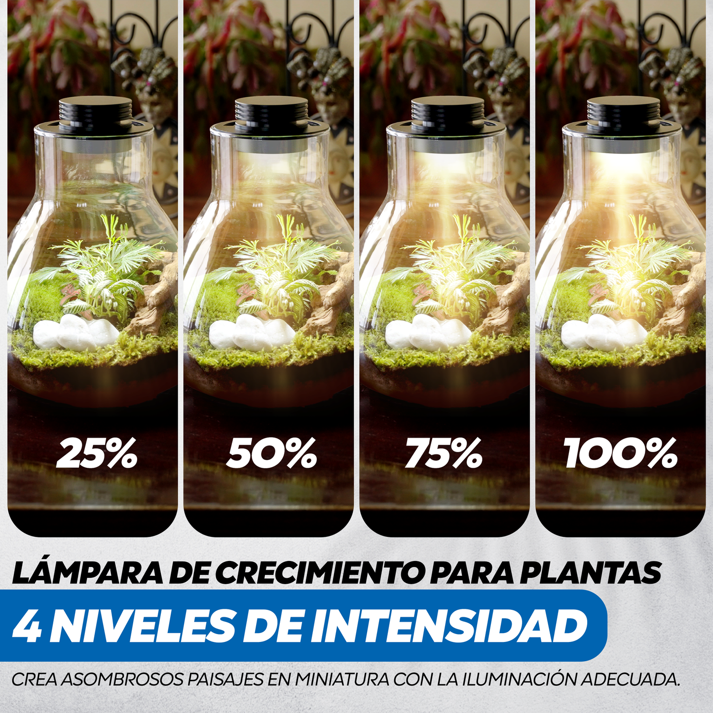 Terrario de metal de 10 cm con ventilación ajustable y luz LED inteligente para plantas de interior.